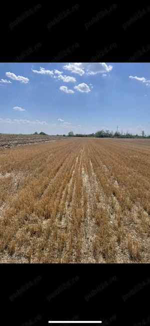 Teren intravilan de vânzare 