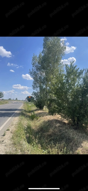 Teren intravilan de vânzare  - imagine 2