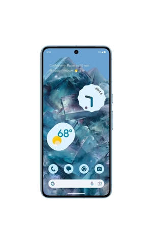 Google Pixel 8 PRO - imagine 3