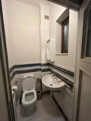 Kiseleff-parc, 4 camere, P/D+P+1+M - imagine 3