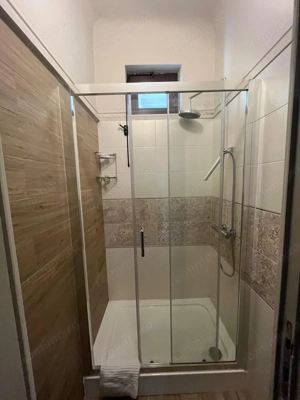 Kiseleff-parc, 3 camere, etajul 1/D+P+1+M - imagine 17