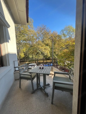 Kiseleff-parc, 3 camere, etajul 1/D+P+1+M - imagine 20