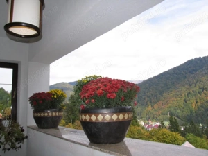 De vanzare -Pensiune cu 21 camere situata in Sinaia,central - imagine 13