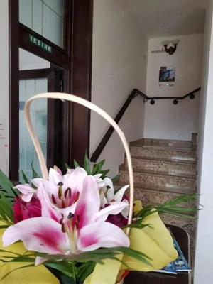 De vanzare -Pensiune cu 21 camere situata in Sinaia,central - imagine 3