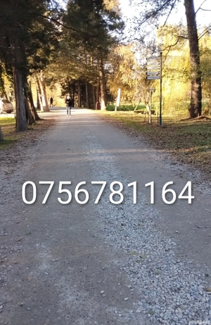 locuri de muncă în Germania 