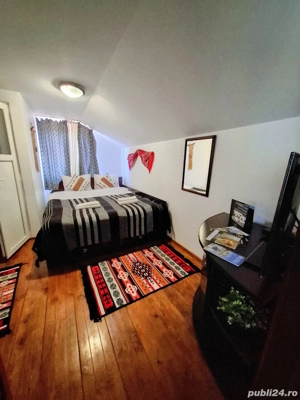 Pensiune  în Bisoca, zona mănăstirii Poiana Mărului - imagine 12