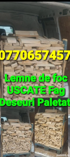 Vînd Lemne USCATE Fag Paletat Deseuri 