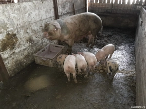 De vânzare ! - imagine 4