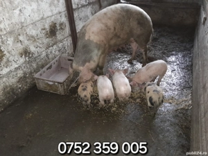 De vânzare ! - imagine 5