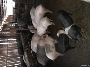 De vânzare ! - imagine 2