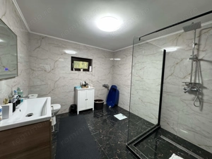 Vila P+M,GARAJ, T=741 mp,D=28m,an 2019,zona centrala-Palat de Justitie - imagine 17