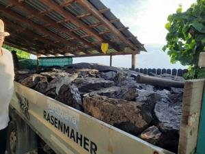 Cărbune lignit pt foc 