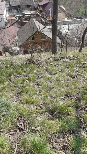 Casa langa Manastirea Bistrita, Neamt, Iasi, Bacau, Bucuresti