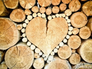 Tai lemne cu drujba 