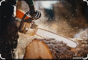 lemne de foc tai cu drujba 