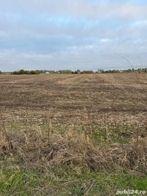 Vand teren 3200 mp Cornetu-Ilfov - imagine 3