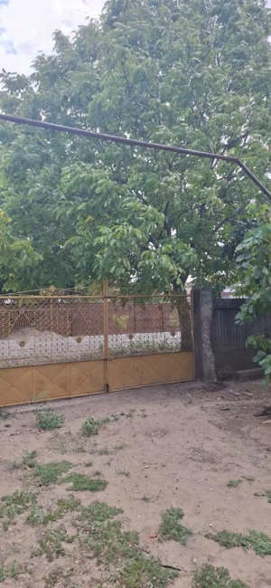 Vand casa in Ciupercenii Noi,jud.Dolj - imagine 7