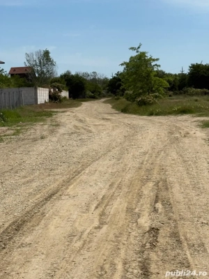 Vand teren 6200 mp Cornetu-Magurele-Ilfov - imagine 3