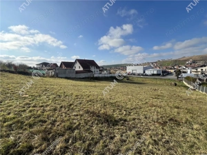 Teren intravilan de 3220 mp cu PUZ aprobat si utilitati in Sura Mare - imagine 9