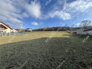 Teren intravilan de 3220 mp cu PUZ aprobat si utilitati in Sura Mare - imagine 7