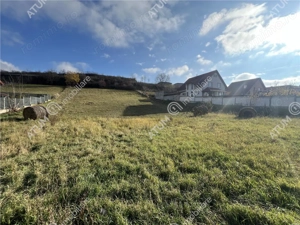 Teren intravilan de 3220 mp cu PUZ aprobat si utilitati in Sura Mare - imagine 5