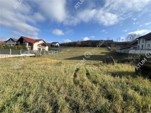 Teren intravilan de 3220 mp cu PUZ aprobat si utilitati in Sura Mare - imagine 6