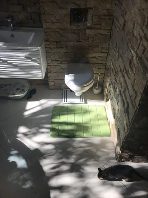 apartament central-ideal spatiu comercial  Corod  - imagine 3