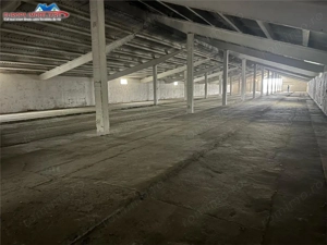 Hale de inchiriat localitatea M. Kogalniceanu Tulcea - imagine 7