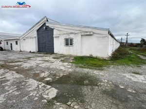 Hale de inchiriat localitatea M. Kogalniceanu Tulcea