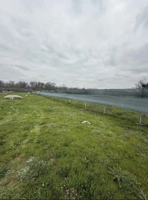 Vand teren in Magurele-Ilfov - imagine 4