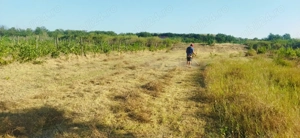 Vând teren intravilan (Rate) - imagine 3