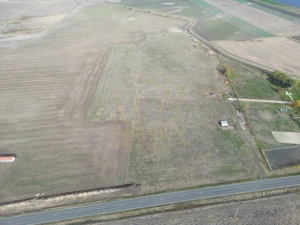 Parcele de teren 650mp | Dudestii Noi - imagine 3