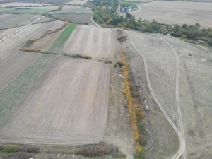 Teren arabil Intravilan 11600mp | LmP | Remetea Mare | COM 0% - imagine 2