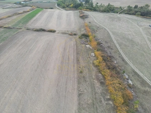 Teren arabil Intravilan 11600mp | LmP | Remetea Mare | COM 0% - imagine 4