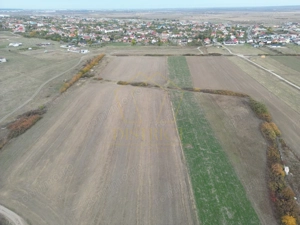 Teren arabil Intravilan 11600mp | LmP | Remetea Mare | COM 0% - imagine 3