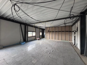 Hale industriale noi | Sanandrei | A1 - imagine 6