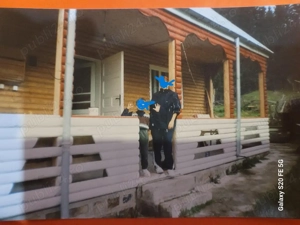 Lepsa Vrancea ,zona retrasa linistita si sigura,cabana si teren de vanzare - imagine 9