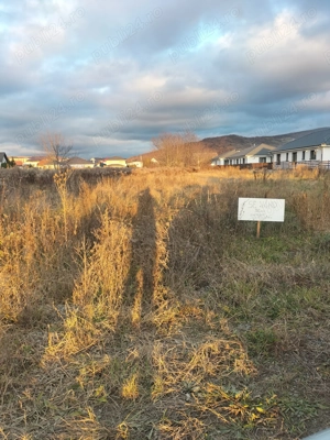 Vând teren intravilan 