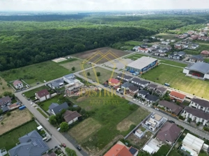 Teren intravilan constructii rezidentiale 968mp | Dumbravita - imagine 3