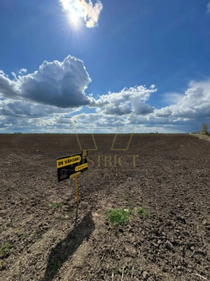 Teren extravilan - constructii industriale 5ha | Sag | Frigoglass - imagine 3