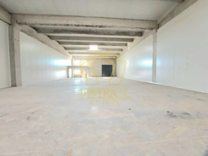 Spatiu tip Hala Noua I Sanandrei - imagine 3