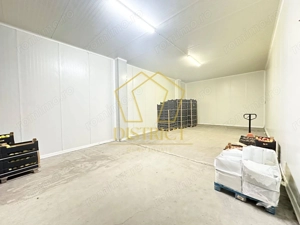 Hala industriala | Freidorf | Timisoara - imagine 6