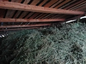 Vand lucerna vrac tinuta in pod Leordeni - imagine 3