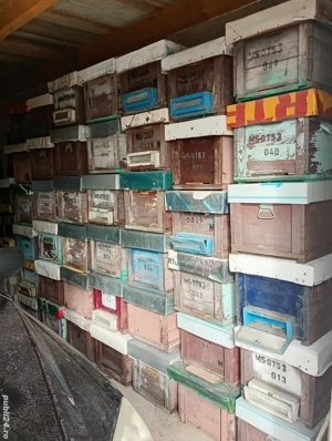 Lazi petru stupi (stas 10 rame) 