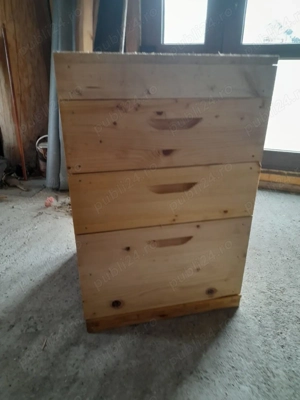 Lazi familii de albine