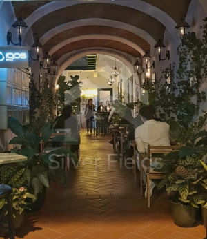 Se vinde sau închiriază Bar-Restaurant la cheie | Piata Unirii - imagine 14