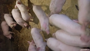 de plecare la alt stăpîn  - imagine 2