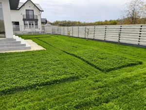 Casa superbă Periș Bălteni Ilfov - imagine 8