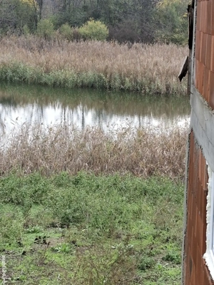 Oferta! Casa Pe Malul Lacului - imagine 4