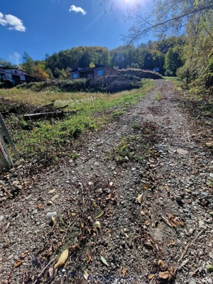 Casa in Vladesti - imagine 10